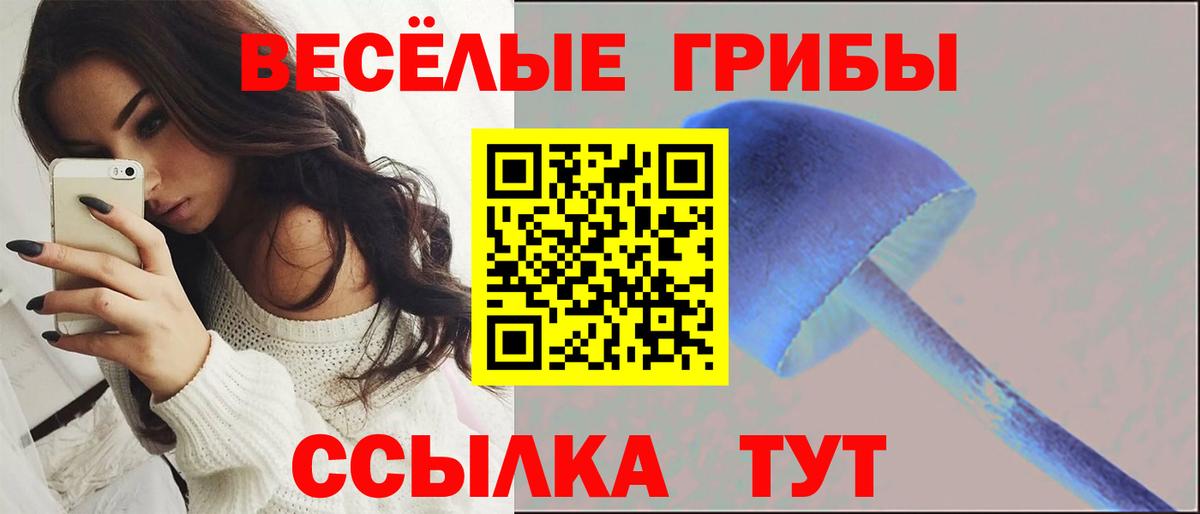 продажа наркотиков  Псилоцибиновые грибы прущие грибы  Вход с VPN  Новотроицк  Псилоцибиновые грибы Cubensis 